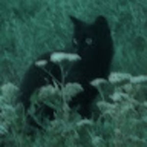 Meet your Posher, Ramona